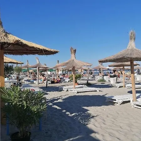 Ddy * Năvodari